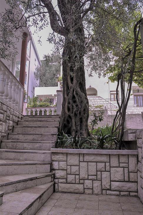 Vila Mila Petrovac Dış mekan fotoğraf